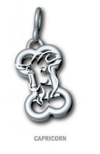 Load image into Gallery viewer, Bark Avenue Zodiac Collection- Rings